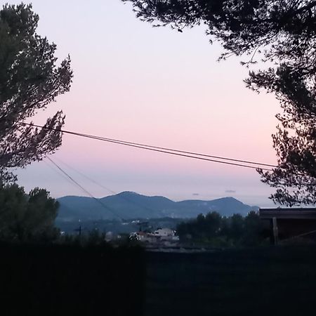 Mobilhome A Deux Pas Du Circuit Du Castellet Avec Terrasse Vue Mer Le Castellet  Eksteriør billede